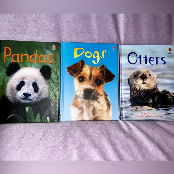 Pandas🐼, Dogs🐶 & Otters🦦 Beginners Books - Picture 1 of 5
